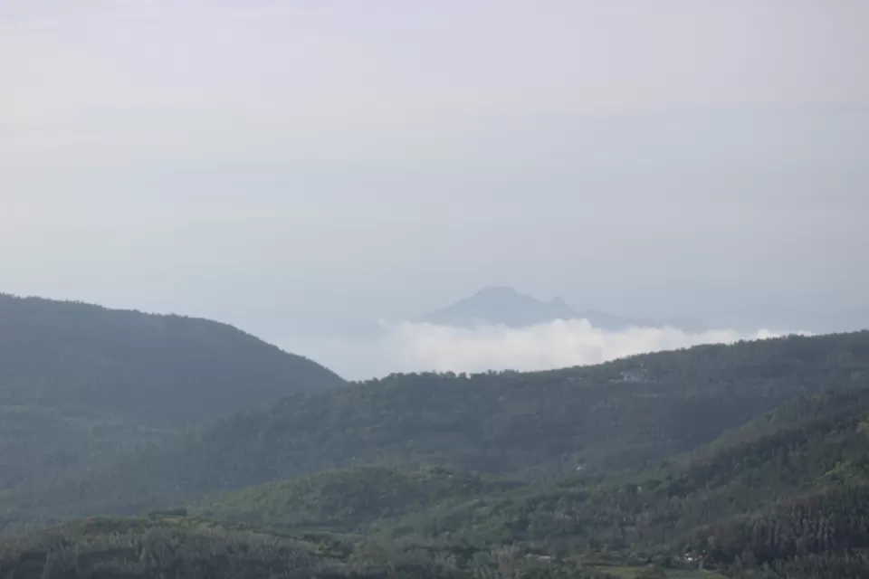 Photo of Yercaud Hill Station By Rishabh Pengoriya 
