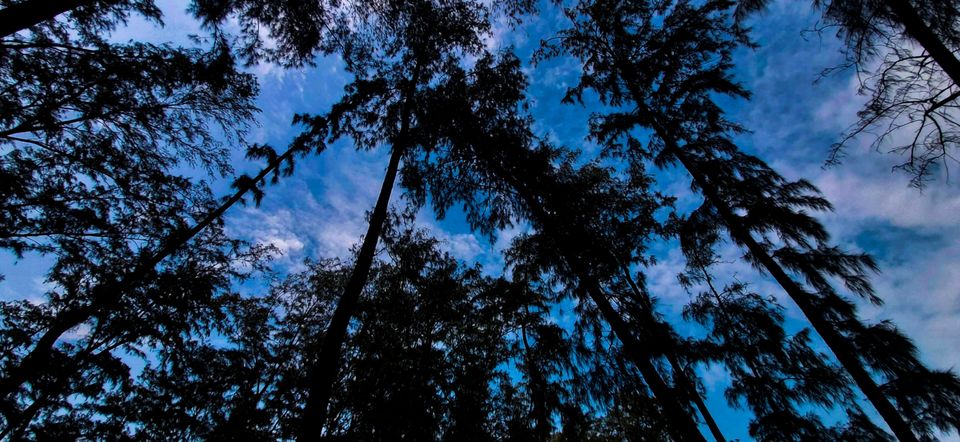 Photo of An uncertain trip to Daman by Akash Ghatage