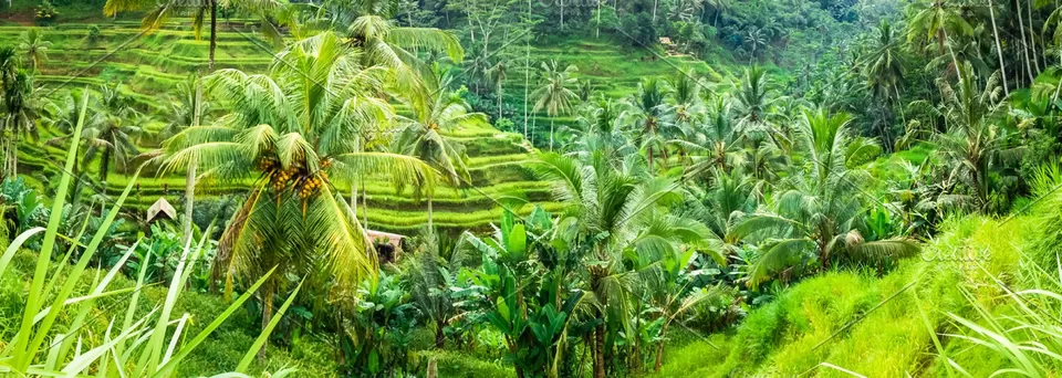Photo of An unforgettable week in The Island of Gods by Alka Jha