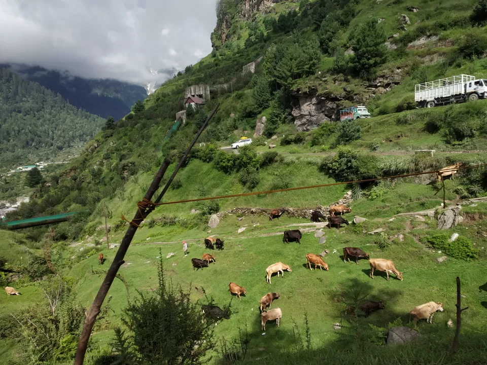 Photo of Adventures Manali Rohtang 3days and 2 nights Trip by Anura
