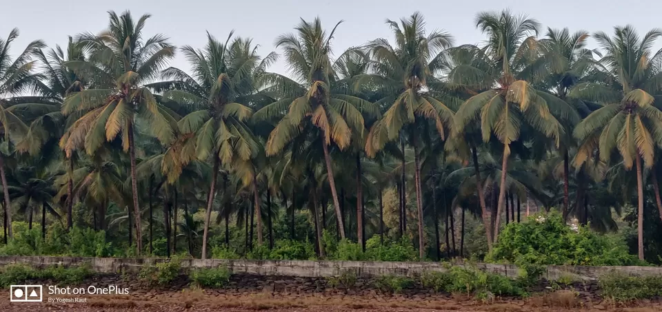 Photo of Madban Beach, Ratnagiri, Maharashtra, India by MECHYORA