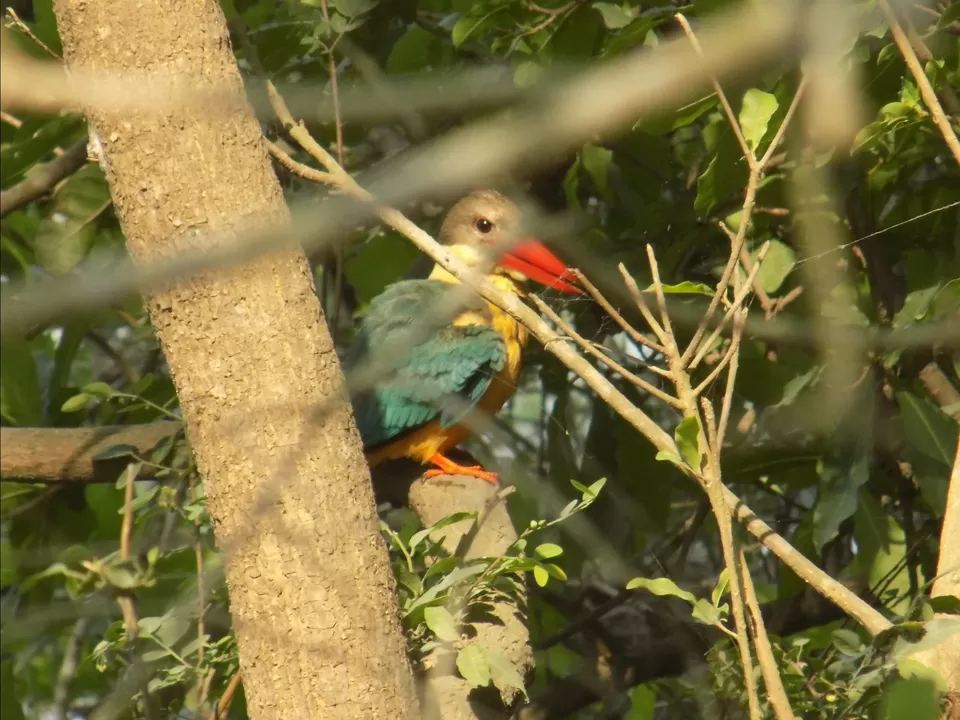 Photo of Dudhwa Fun Resort, Bhīra, Uttar Pradesh, India by Wanderer Atif