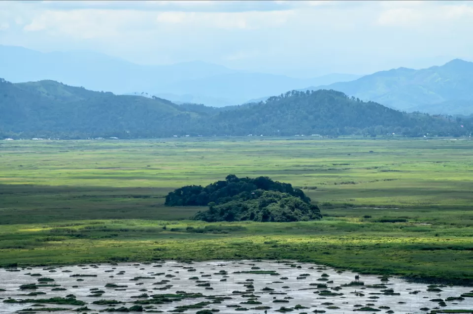Photo of Keibul Lamjao National Park by chiteshwary rajput