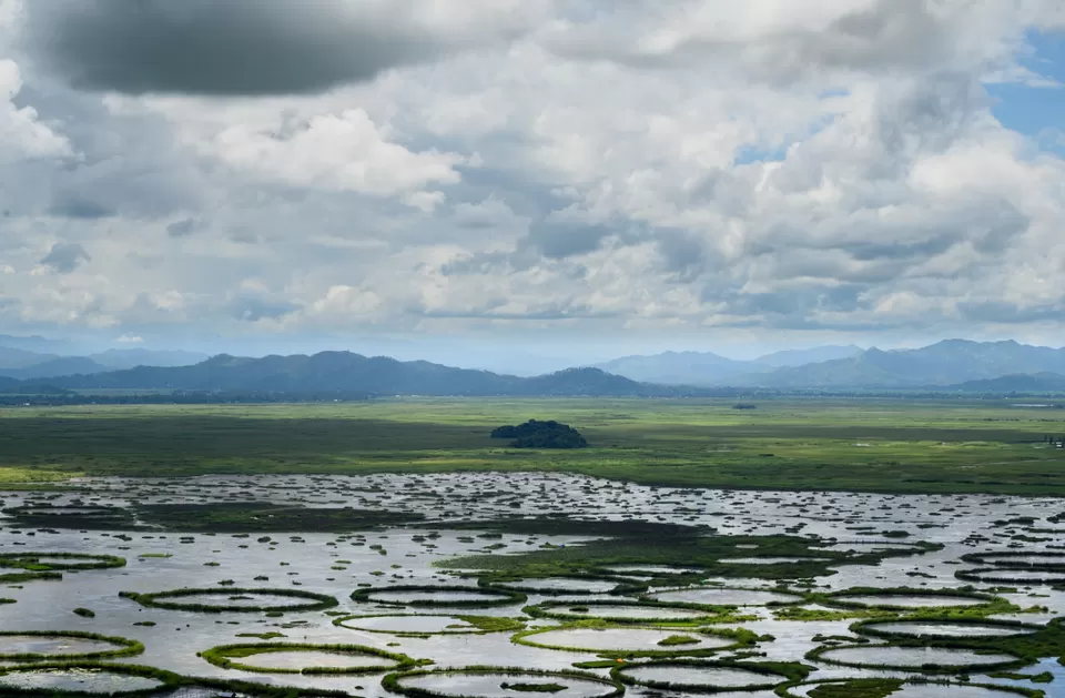Photo of Keibul Lamjao National Park by chiteshwary rajput