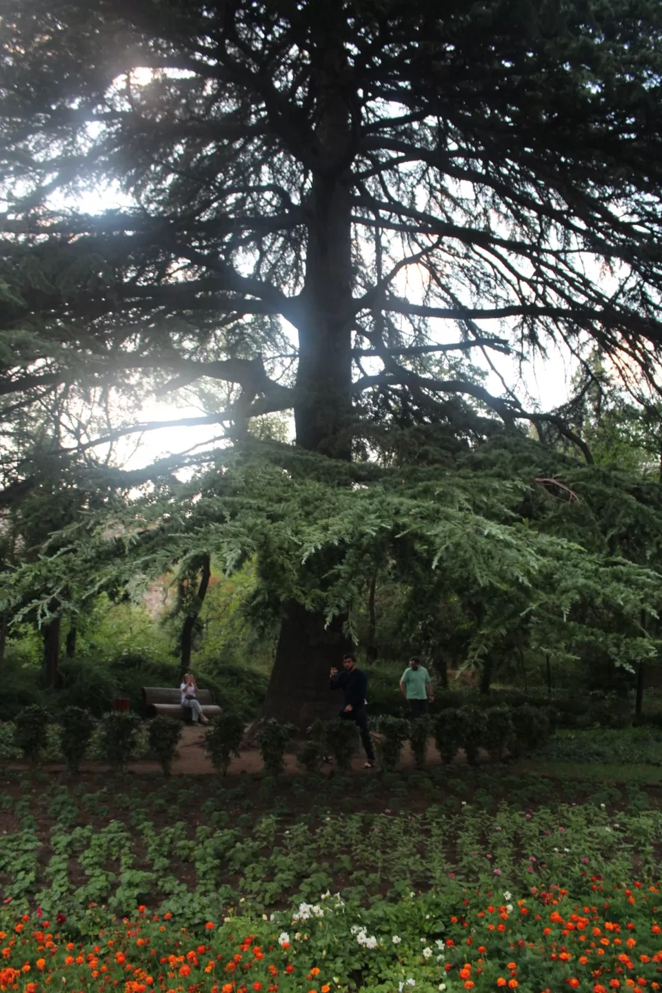 Photo of National Botanical Garden of Tbilisi city, Bambis Rigi Street, Tbilisi, Georgia by Sreenivas Koushik