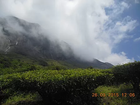 Photo of Munnar, Kerala, India by Sudha Saswati Nayak