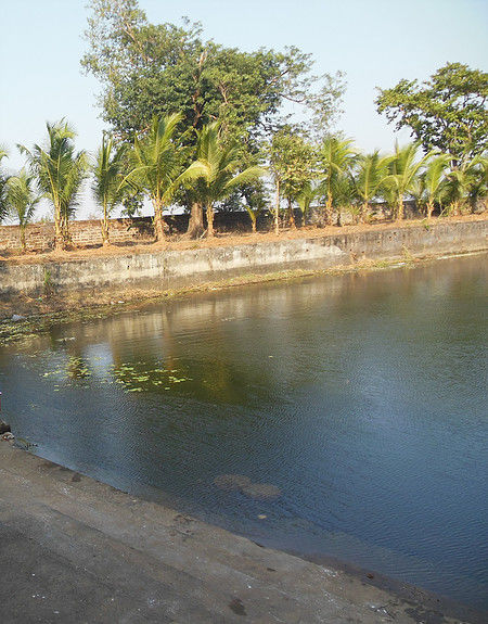 Photo of Atri Hot Spring, Khordha| Odisha Travel Blogs| Sudha Saswati Nayak 4/4 by Sudha Saswati Nayak
