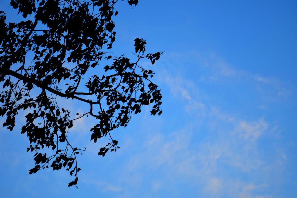 Photo of Rishikesh- Awakening to the infinite !!! 1/71 by JIVESH