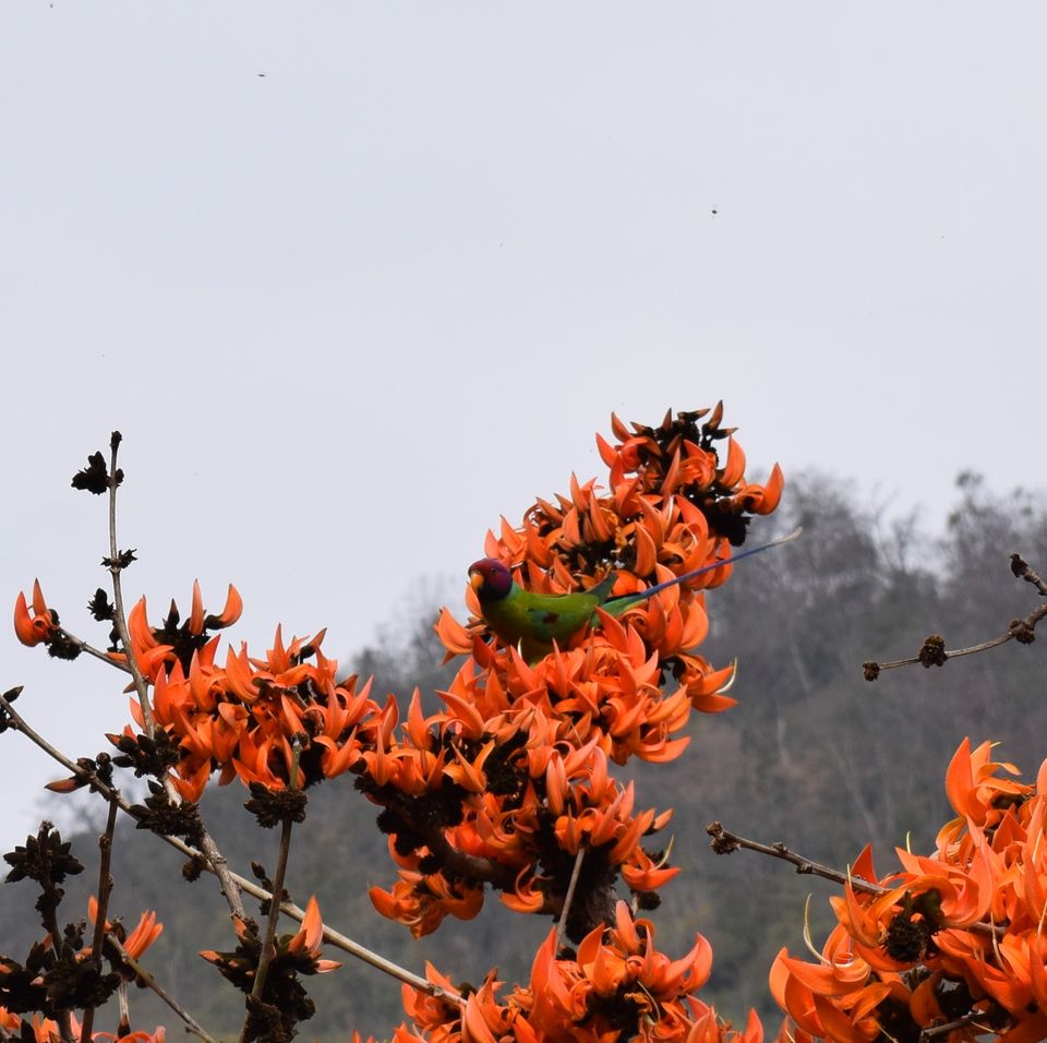 Photo of Rishikesh- Awakening to the infinite !!! 7/71 by JIVESH