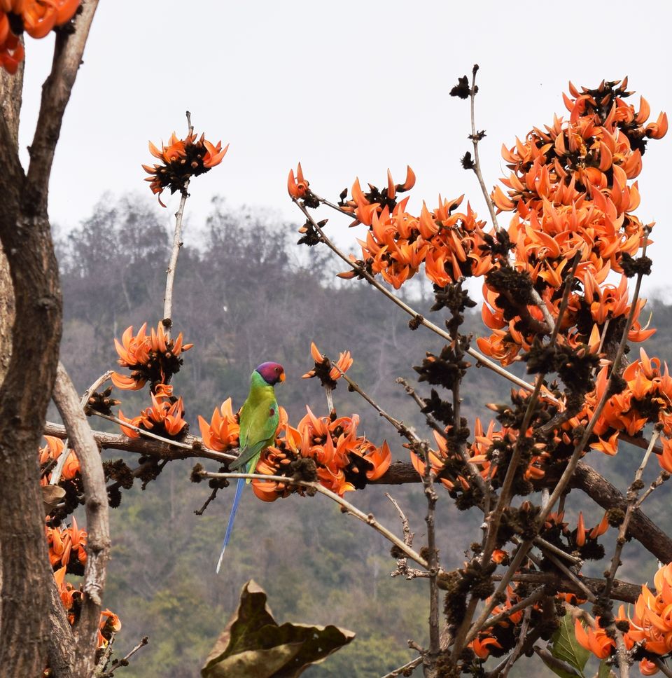 Photo of Rishikesh- Awakening to the infinite !!! 8/71 by JIVESH