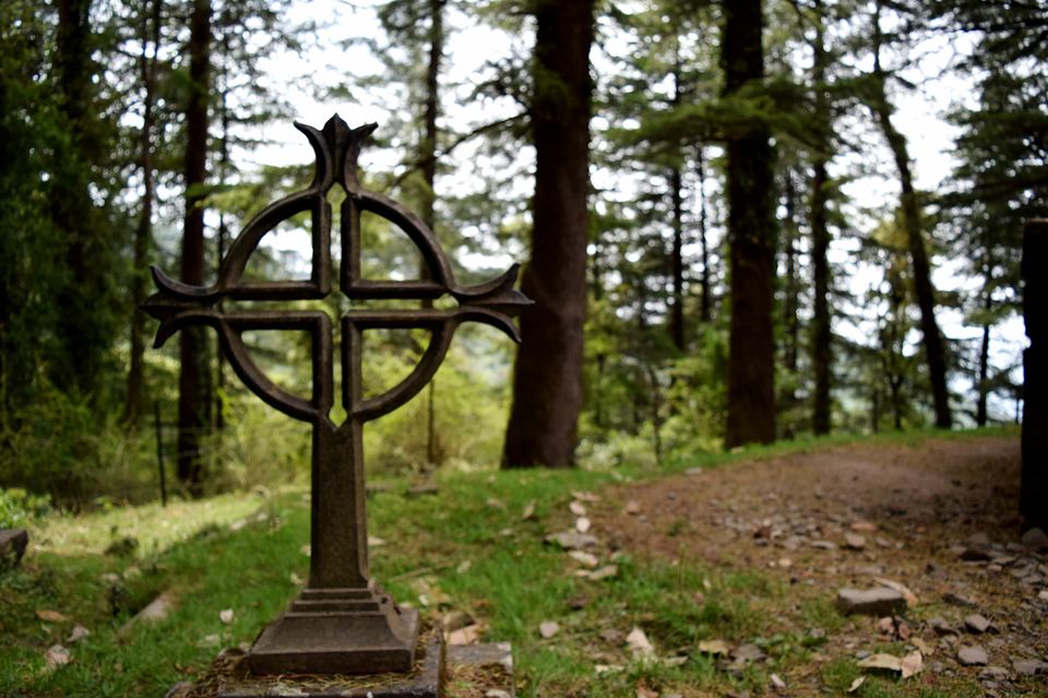 Photo of Solo Travel: McLeodGanj “All you need to know” 13/40 by JIVESH