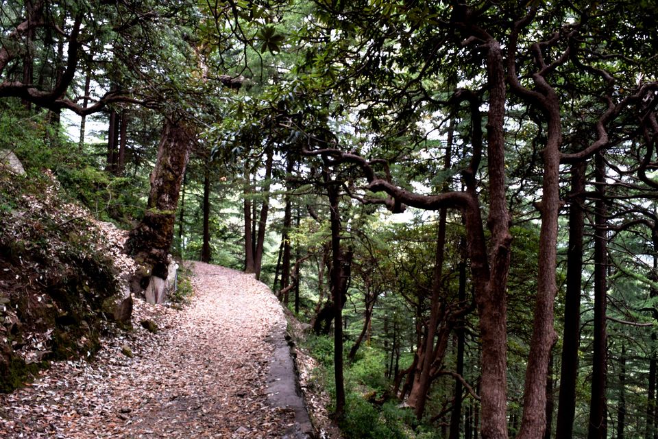 Photo of Solo Travel: McLeodGanj “All you need to know” 16/40 by JIVESH
