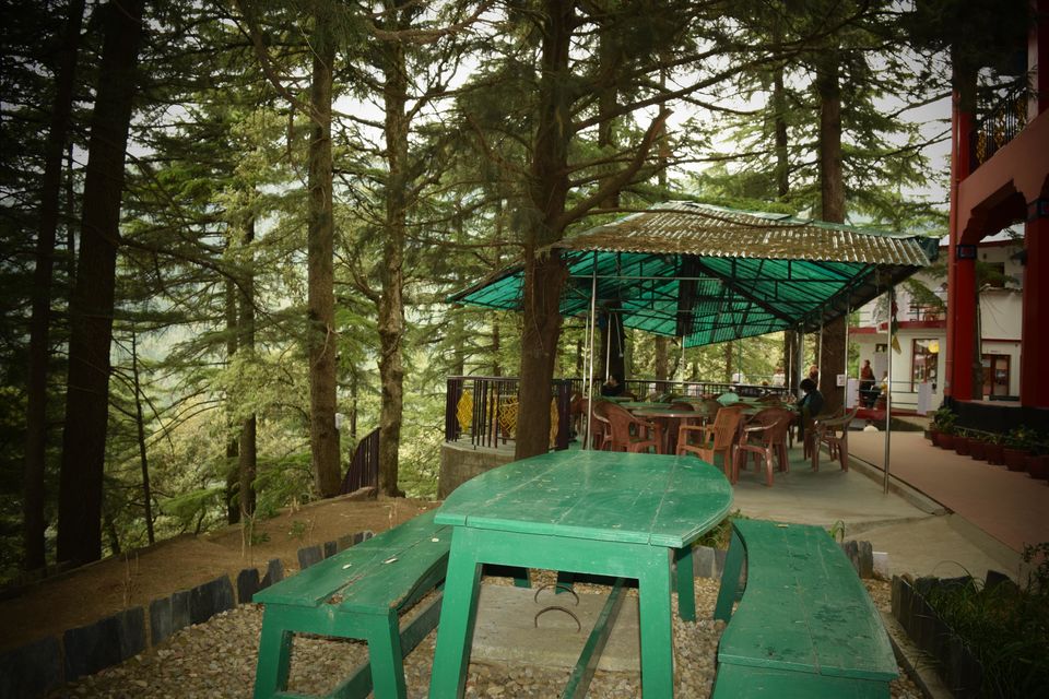 Photo of Solo Travel: McLeodGanj “All you need to know” 17/40 by JIVESH