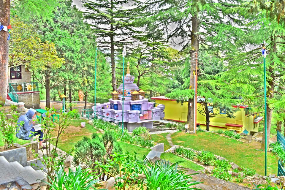 Photo of Solo Travel: McLeodGanj “All you need to know” 18/40 by JIVESH
