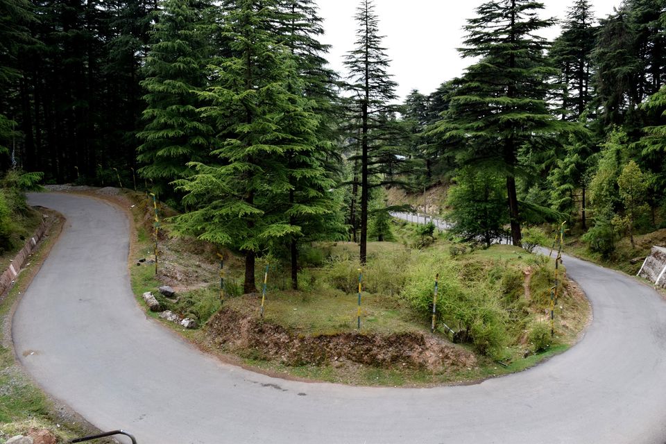 Photo of Solo Travel: McLeodGanj “All you need to know” 22/40 by JIVESH