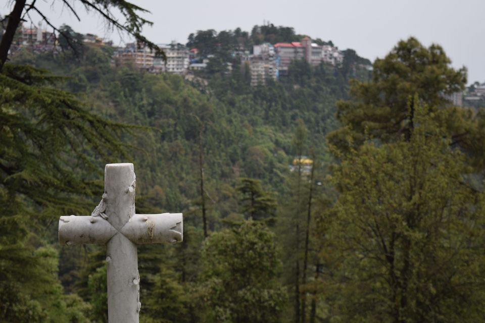 Photo of Solo Travel: McLeodGanj “All you need to know” 38/40 by JIVESH