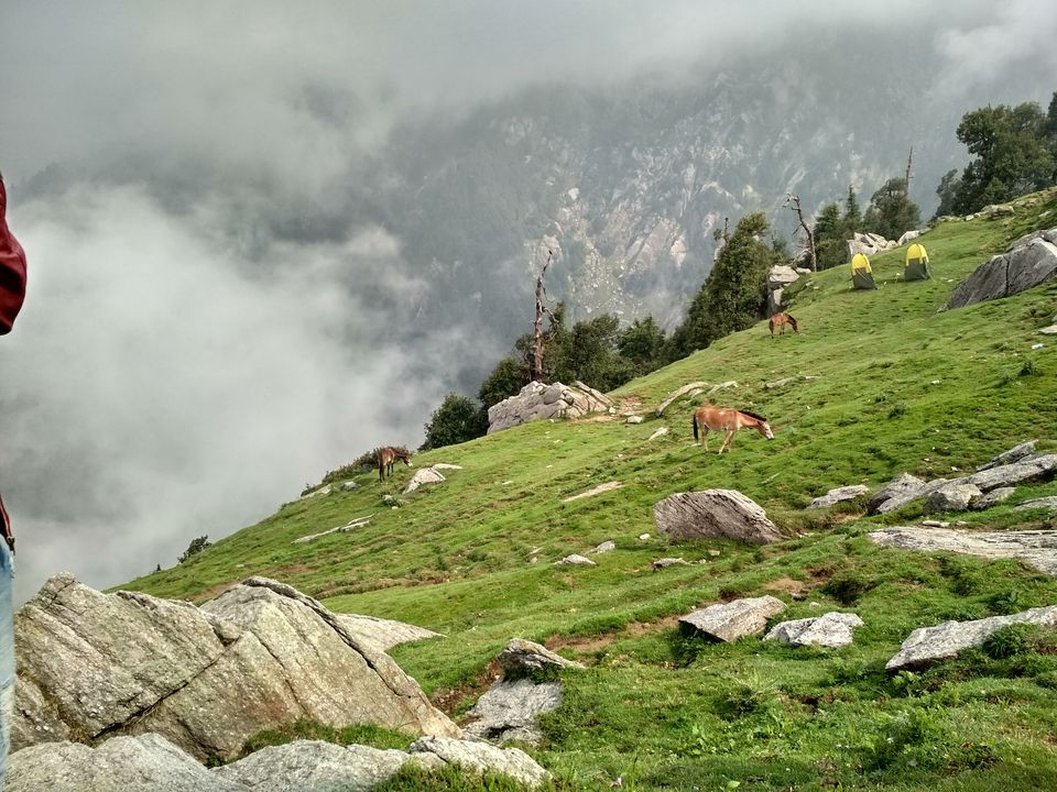 Photo of First trek Triund 2/10 by Kashish Gahoi