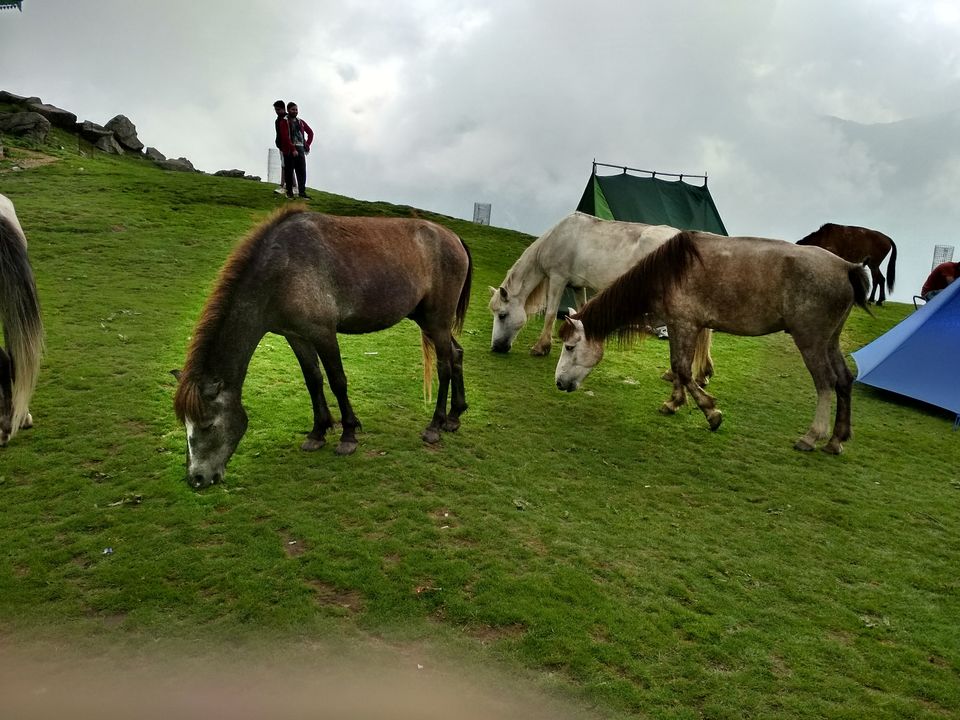 Photo of First trek Triund 6/10 by Kashish Gahoi