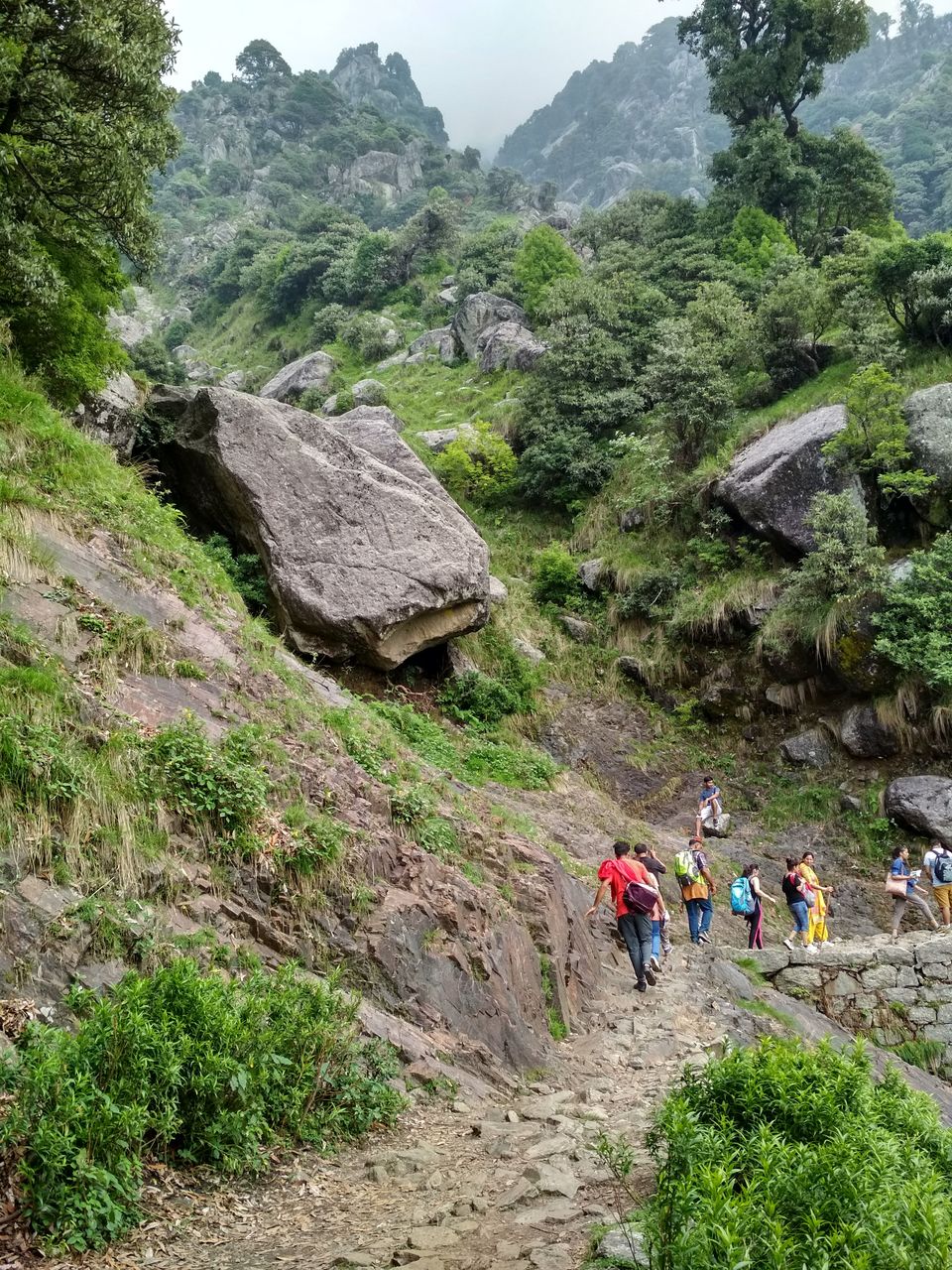 Photo of First trek Triund 1/10 by Kashish Gahoi
