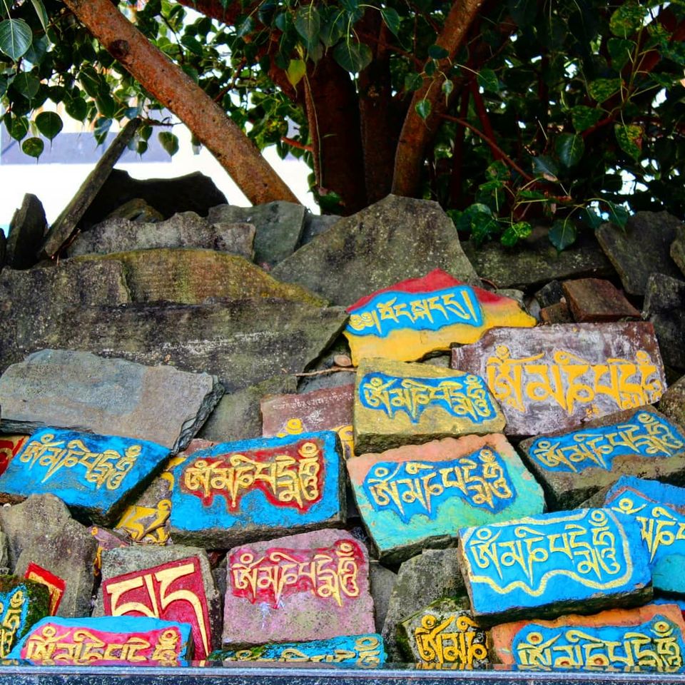 Photo of Bir, Himachal Pradesh, India by Devam Bajaj
