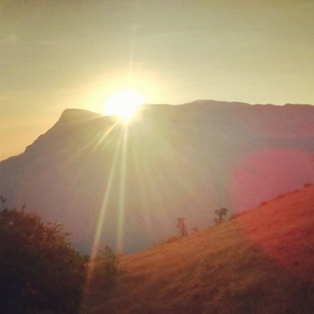 Photo of Chikmagalur: A Trip to Misty Valley 1/1 by Raisa Nair