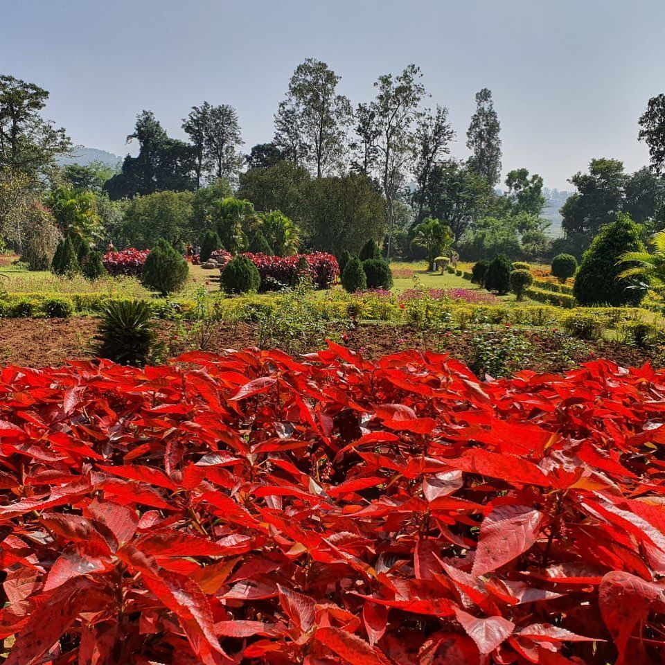 Photo of Araku, Andhra Pradesh, India by Lal Chand