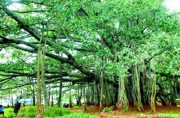 Photo of Mysore, Karnataka, India by Art of Bicycle Trips