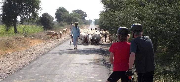 Photo of Ranthambhore National Park, Sawai Madhopur, Rajasthan, India by Art of Bicycle Trips
