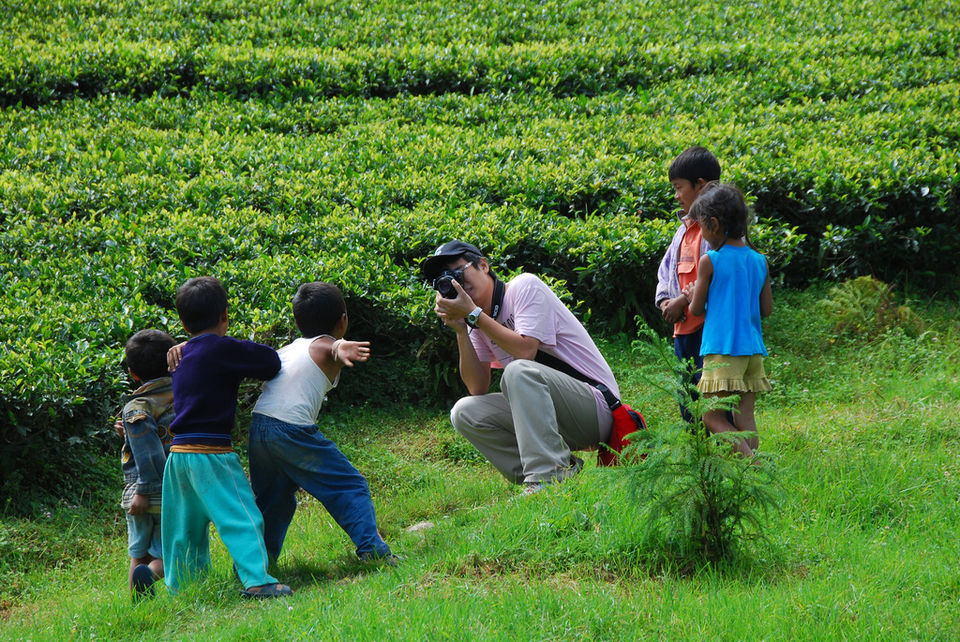 Photo of Temi Tea Garden, South Sikkim, Sikkim, India by Art of Bicycle Trips