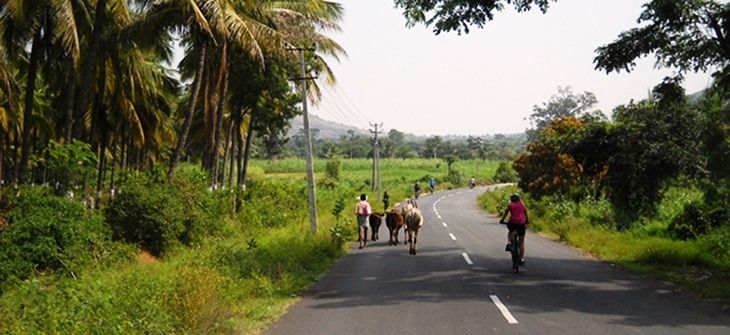 Photo of Bangalore to Goa Bicycle Tour 1/5 by Art of Bicycle Trips