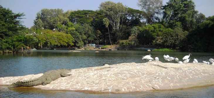 Photo of Bangalore to Goa Bicycle Tour 2/5 by Art of Bicycle Trips