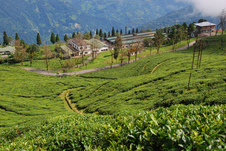 Photo of Splendid Sikkim & Darjeeling Bike Tour 6/6 by Art of Bicycle Trips