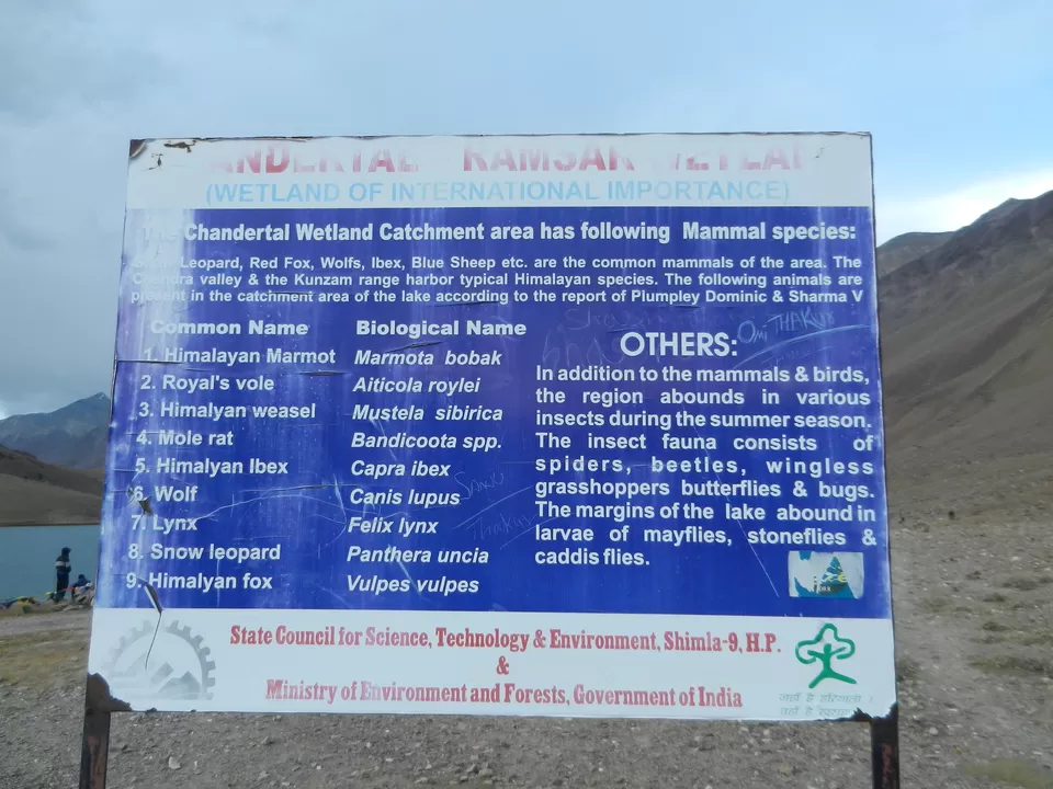 Photo of Chandra Taal, Lahaul And Spiti, Himachal Pradesh, India by Seemant Kumar