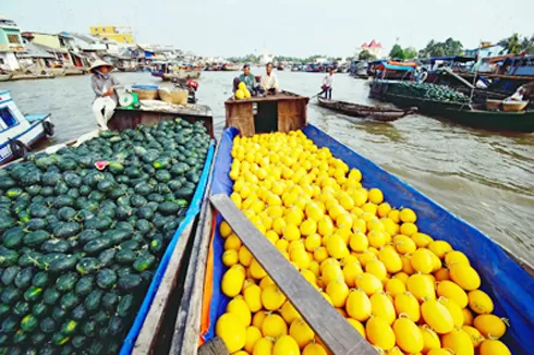 Photo of Can Tho, Vietnam by Nancy & Joseph Gill