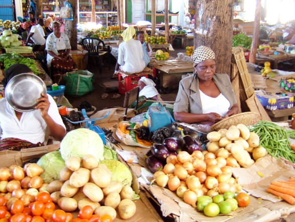 Photo of Backpacking across Mozambique, Africa in 10 days by Nancy & Joseph Gill