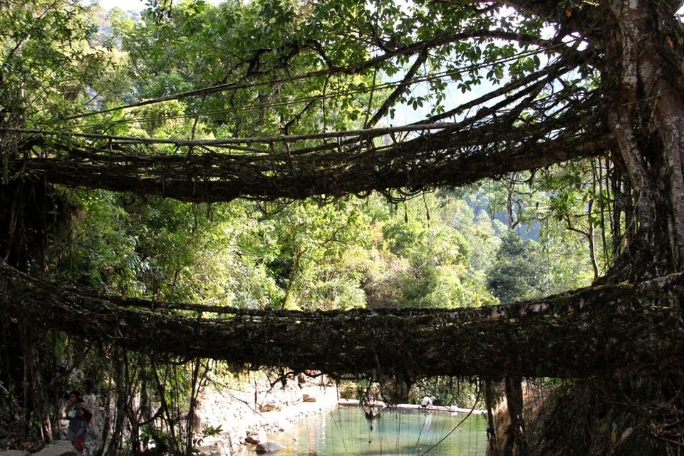 Photo of The Big Fat Indian Adventure: Part 2 (N.E. India) 10/10 by Nancy & Joseph Gill