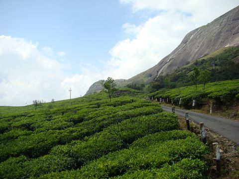 Photo of The Big Fat Indian Adventure: Part 1 (South India) 11/11 by Nancy & Joseph Gill