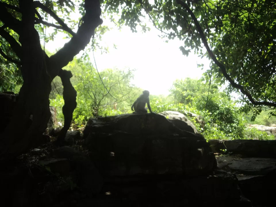 Photo of Peddakaluva, Andhra Pradesh, India by Arun Poludasu