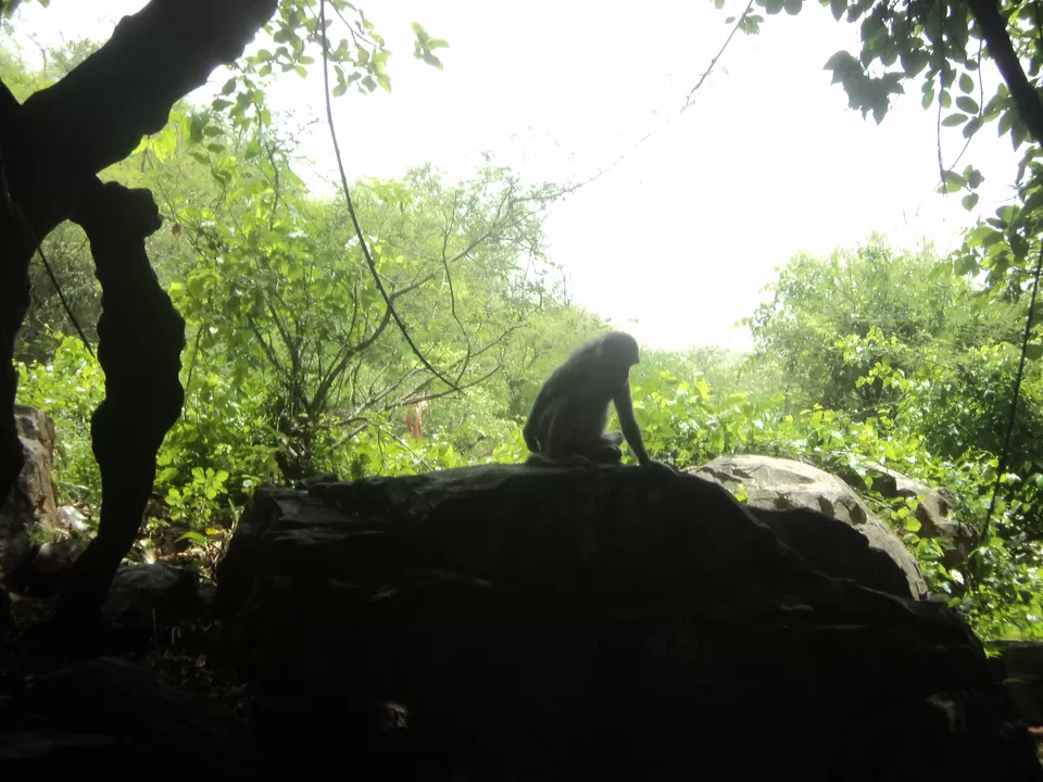 Photo of Peddakaluva, Andhra Pradesh, India by Arun Poludasu