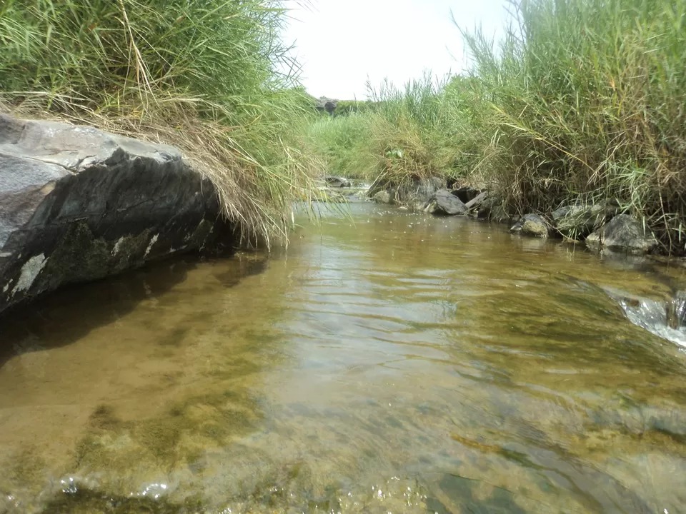 Photo of Peddakaluva, Andhra Pradesh, India by Arun Poludasu