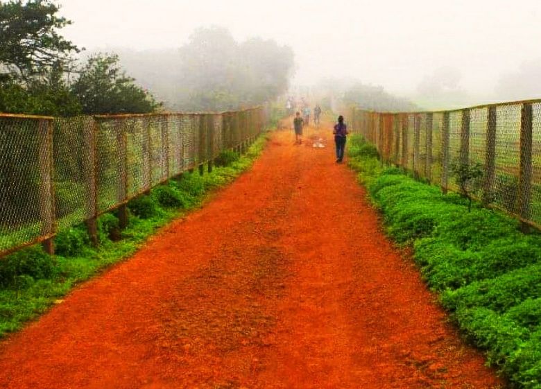 Photo of Kaas Plateau of Flowers - Maharashtra's Spectrum Of Colours! 2/2 by The Pumped Traveller