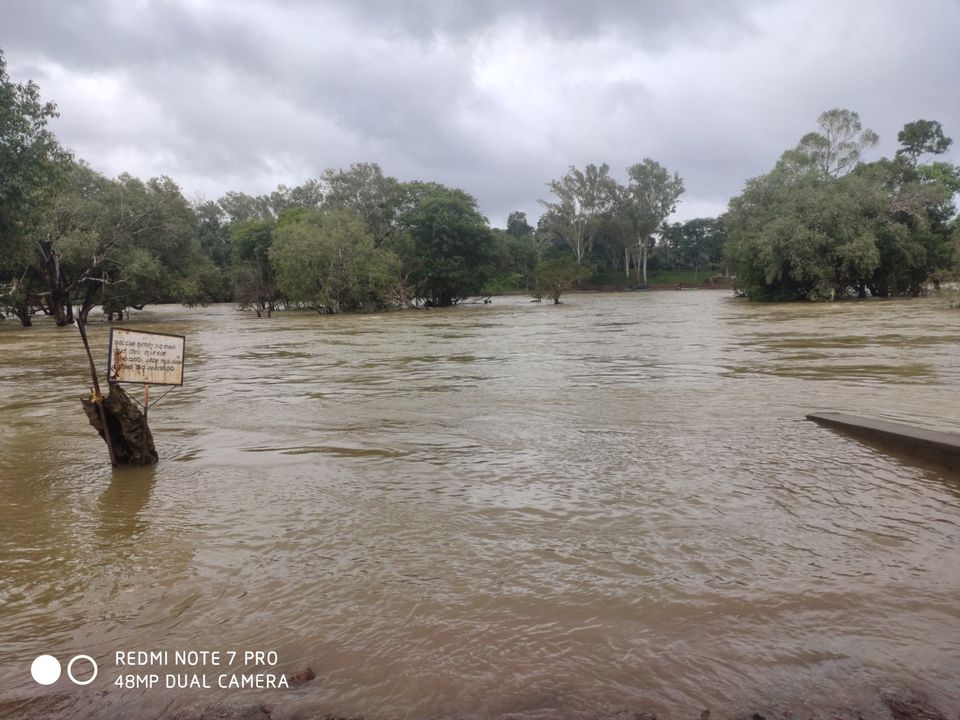 Photo of Monsoon Burst by Diwakar Mogarala