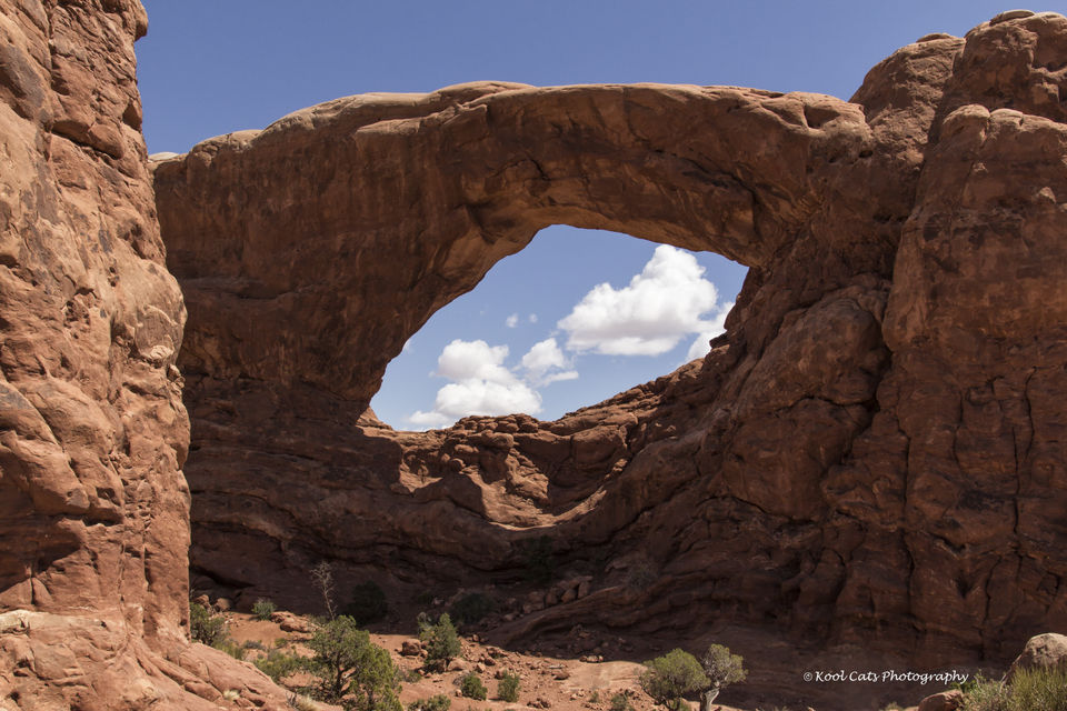 Photo of A Traveler's Guide to Moah, Utah 2/9 by Betsy