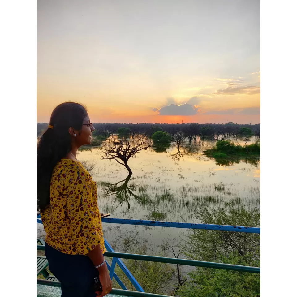 Photo of Ankasamudra Bird Sanctuary by Prachi