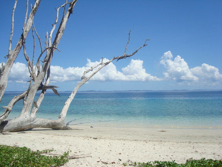 Photo of The Emerald Islands-A Dreamers Home 4/4 by Suma Krishna