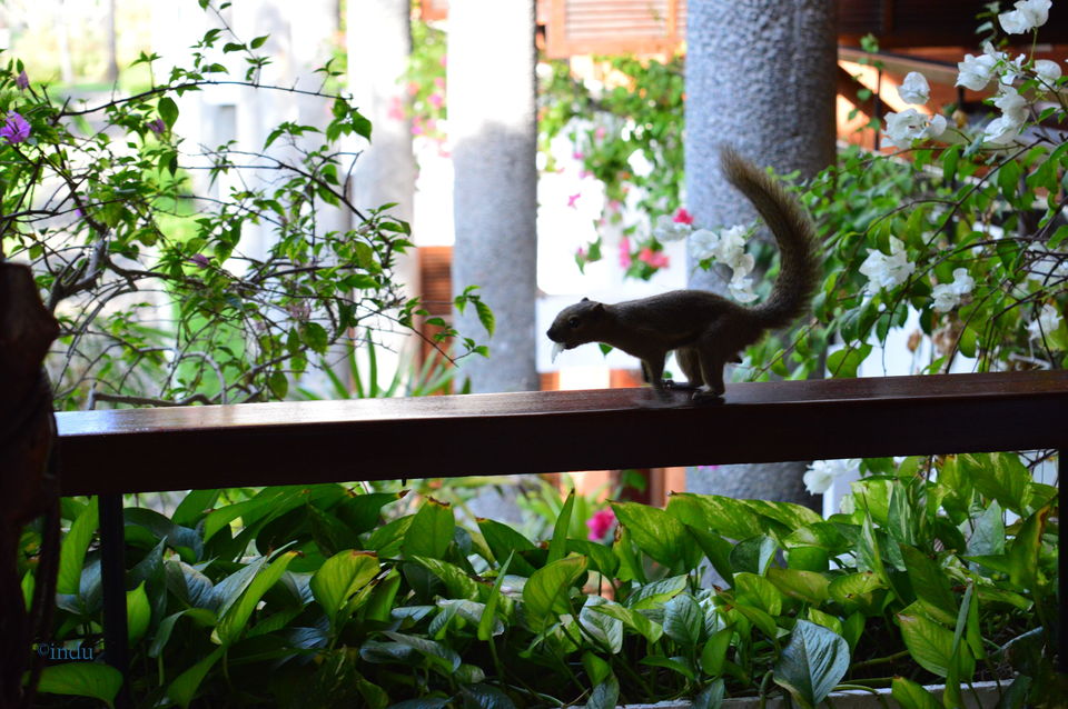 Photo of Bali, Indonesia by Indu Wary