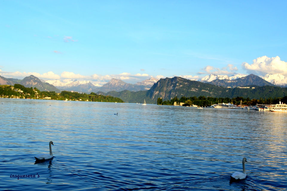 Photo of Alluring Switzerland: A poet’s delight by Indu Wary