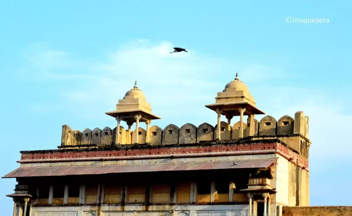 Photo of Amer Fort, Amer, Jaipur, Rajasthan, India by Indu Wary