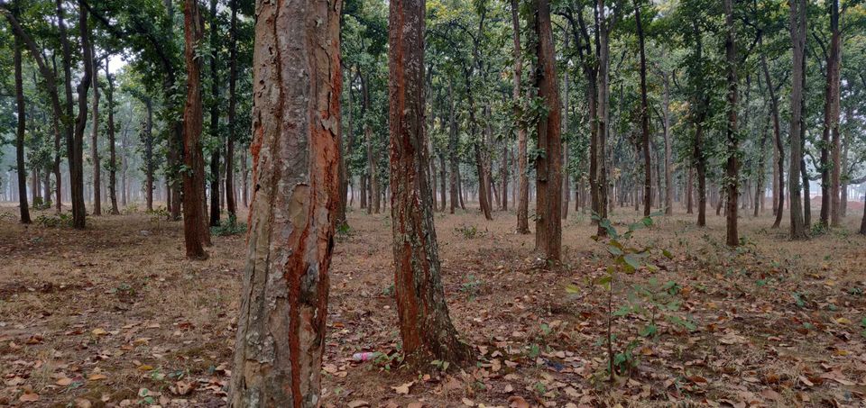 Photo of Netarhat, Jharkhand, India by Anant Kujur