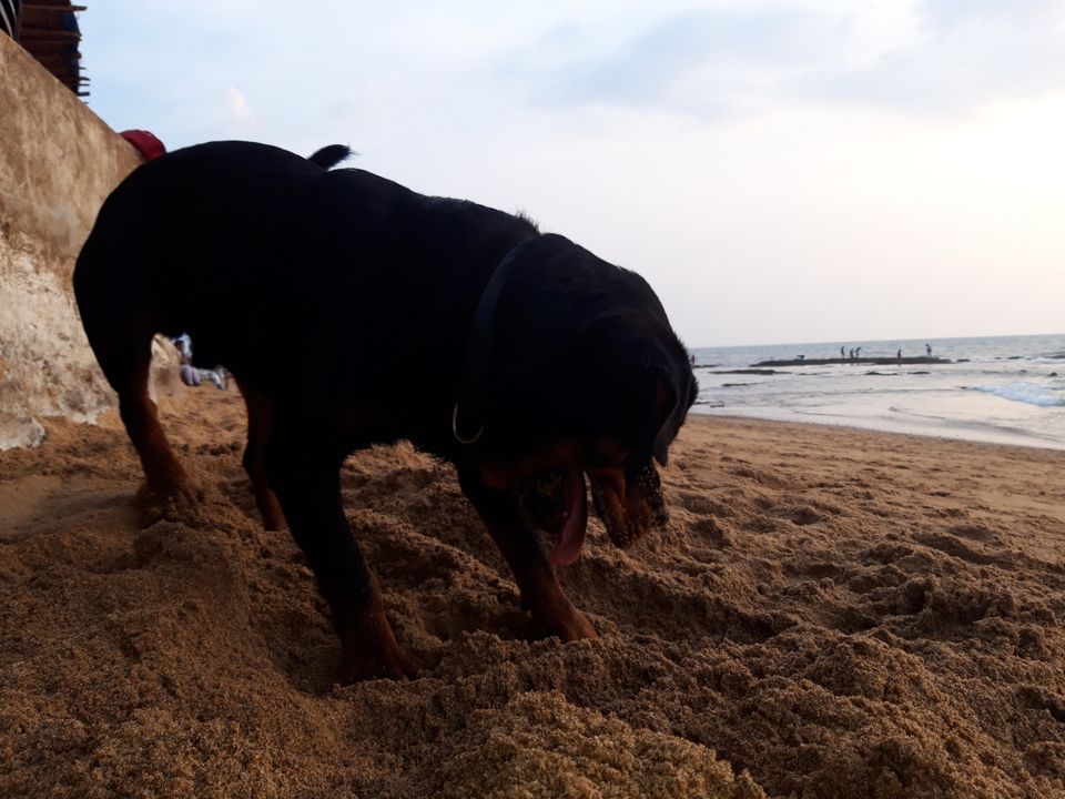 Photo of Anjuna Beach, Goa by Anant Kujur